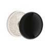 Emtek Ebony Knob with Lancaster Rosette